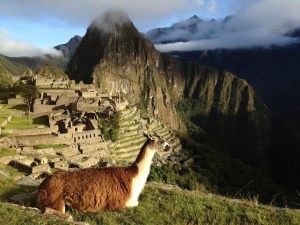 Machu Picchu
