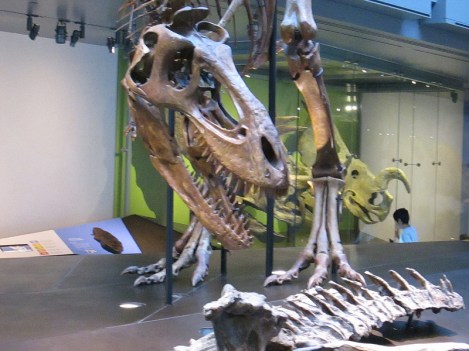 Dinosaur Skeleton at L.A.’s Natural History Museum