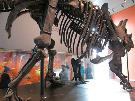 Apparently Old Enough to Have Eaten All of Ken Ham’s Ancestors