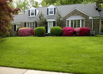 Where Does Our Obsession With Front Lawns Come From?