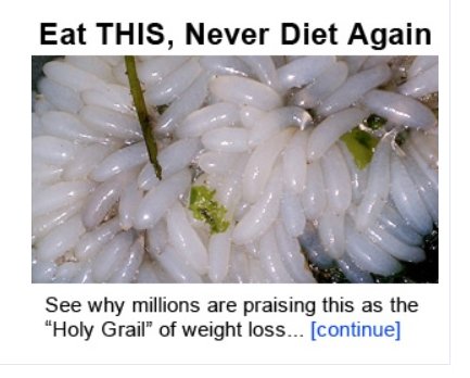 Yeah, Eat Plenty of Maggots and Lose Weight
