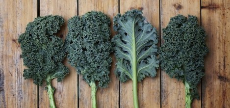 You Must Eat Three Pounds of Kale a Day to Thrive