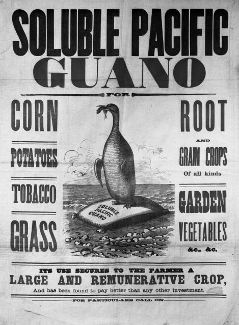 What Kind of Bird Izzat?