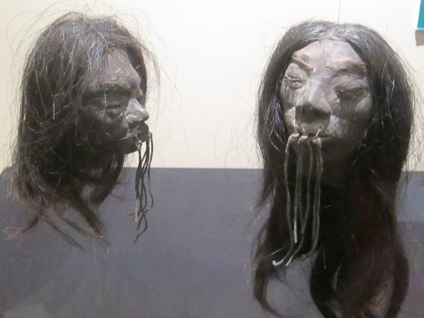Shrunken Heads from the Amazon