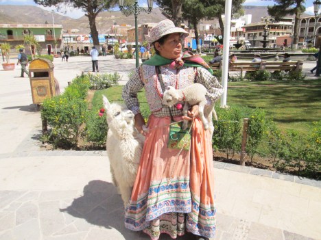 This bWoman in Chivay Had a Lamb and a Llama