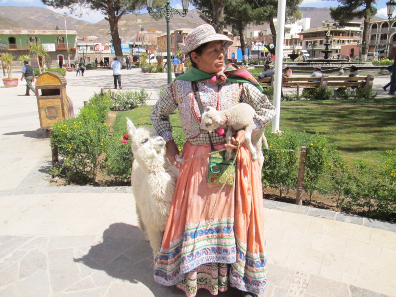 This bWoman in Chivay Had a Lamb and a Llama