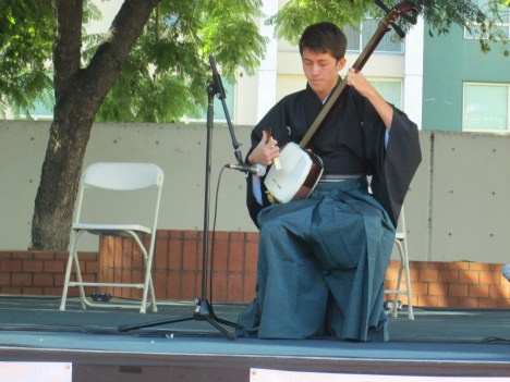 Shamisen Player