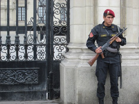 Assault Police Guarding the Palacio de Gobierno