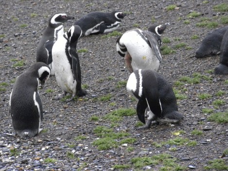 Killing Two Birds with One Stone