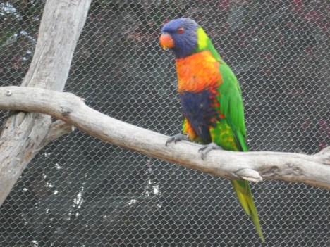 Was This the Guilty Party?