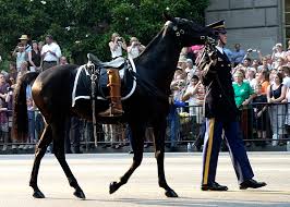 Blackjack, the Riderless Horse in JFK’s Funeral Cortege