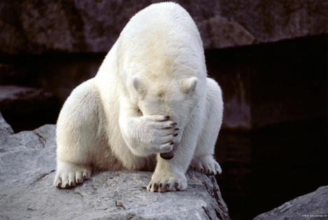 It’s Not Always a Bad Thing