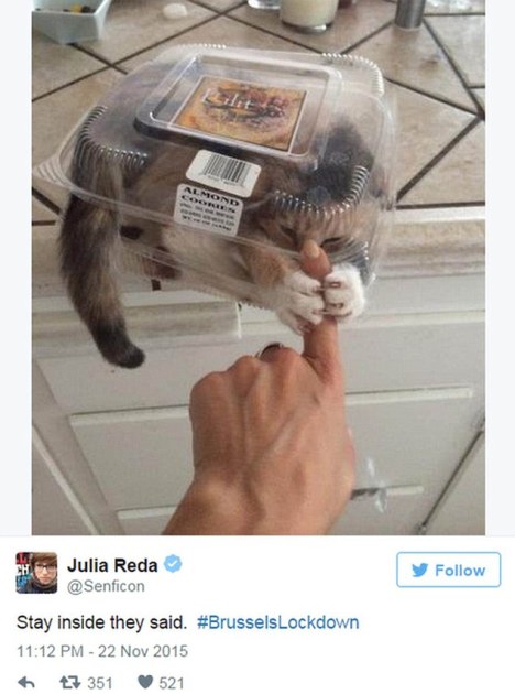 They Said to Stay Inside!