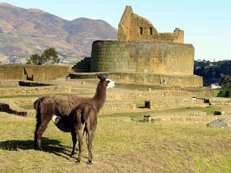 Inca Ruins at Ingapirca, Ecuador