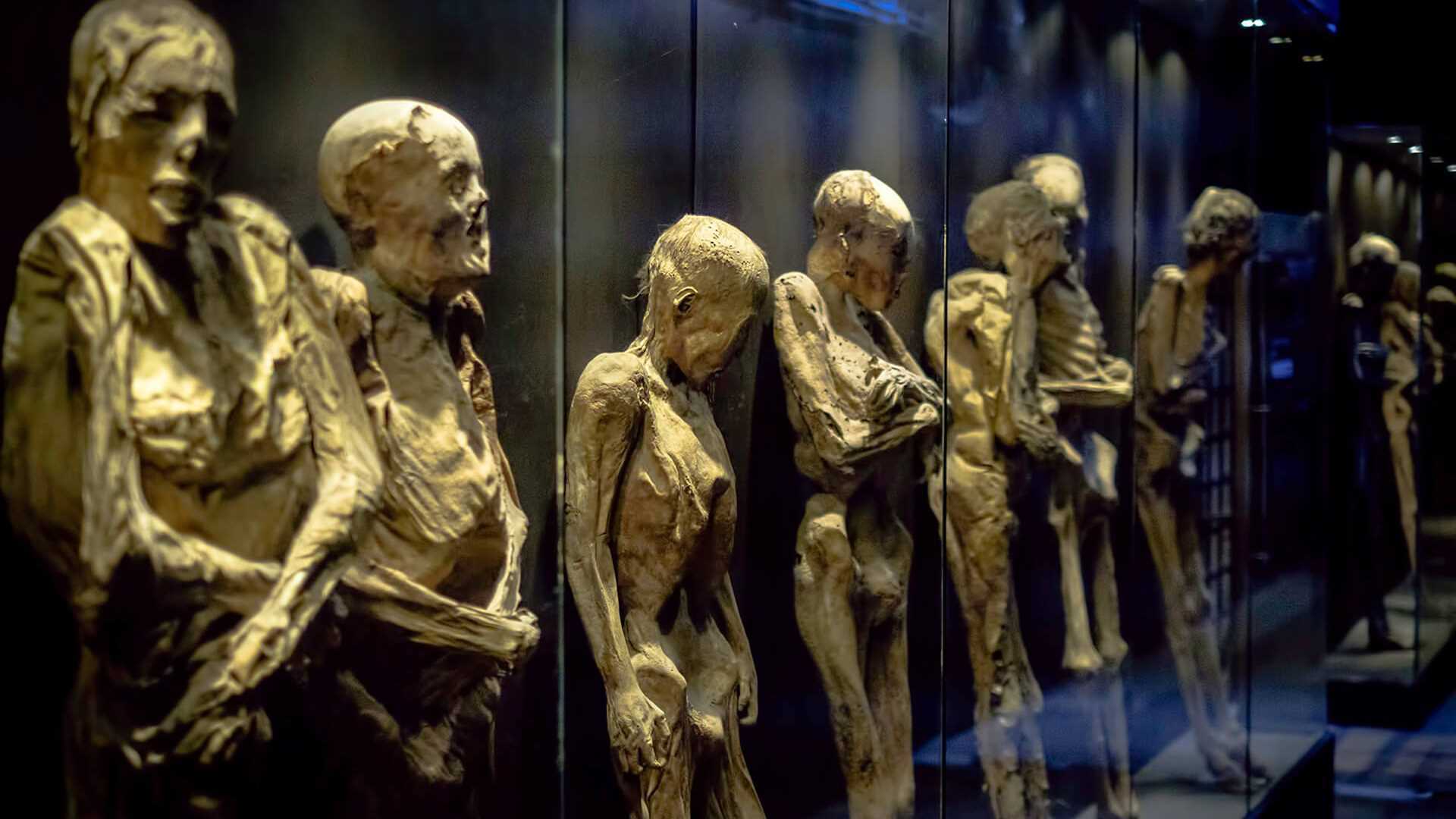 The Mummies 1st&15th 7EP 2枚セット The Mummies 1st&15th 7EP 2枚セット