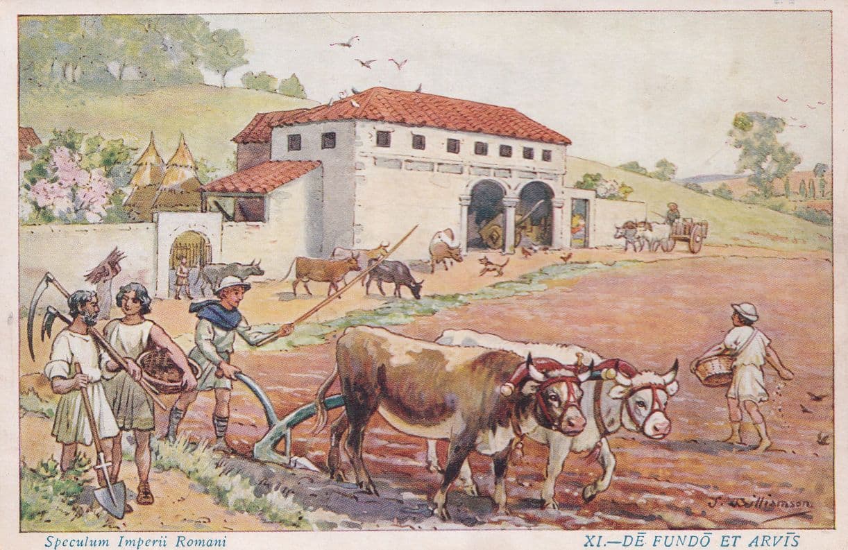 Roman Cow Quid hoc ad Iphycli boves? | Tarnmoor